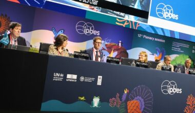 UN report aims to map out ways to make business and biodiversity both sustainable