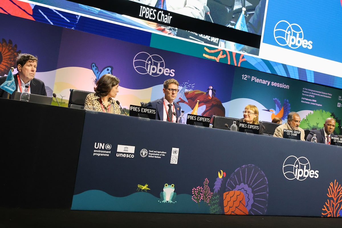 UN report aims to map out ways to make business and biodiversity both sustainable