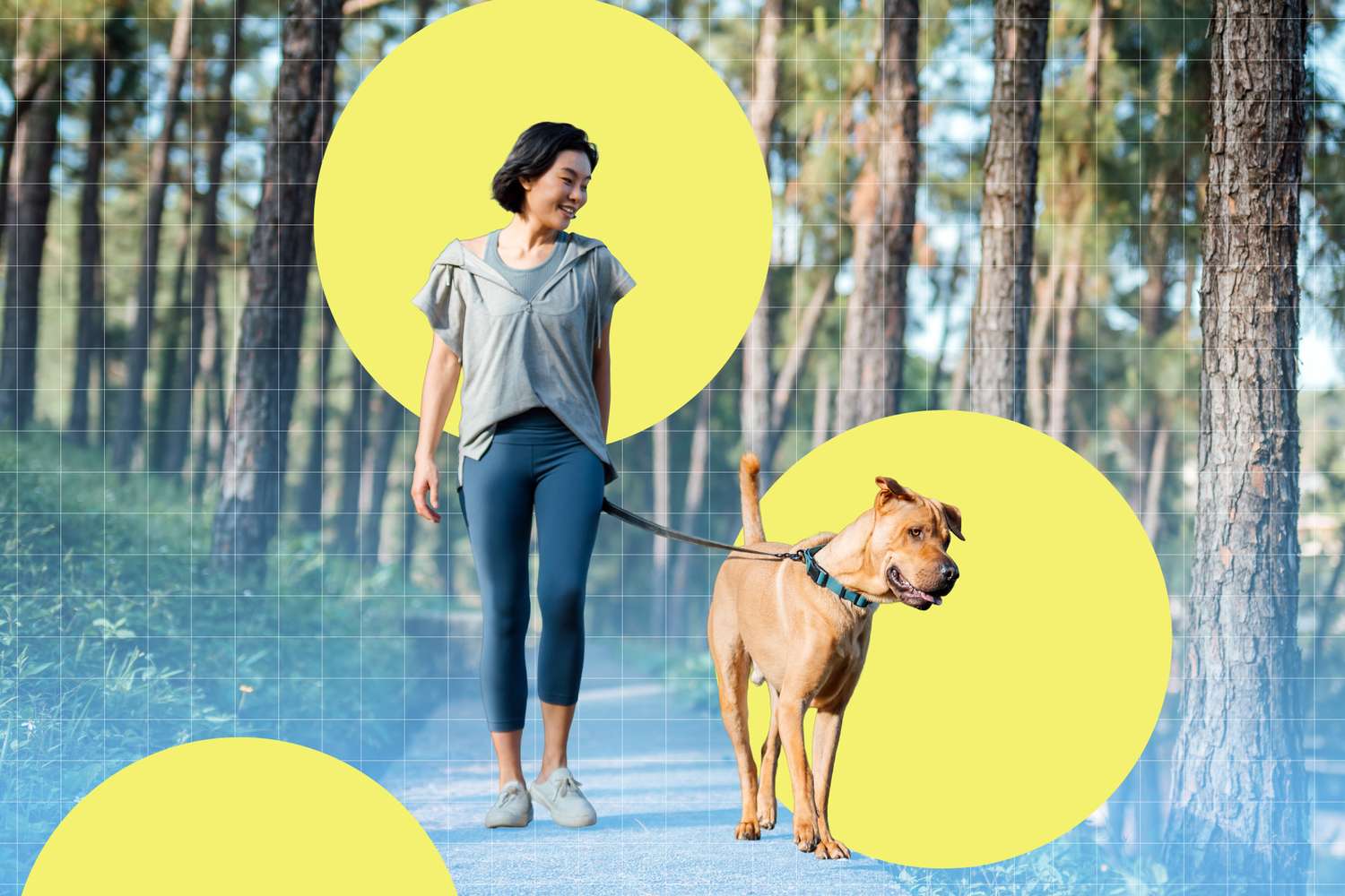 Your Dog May Be Better for Your Heart Than You Realize