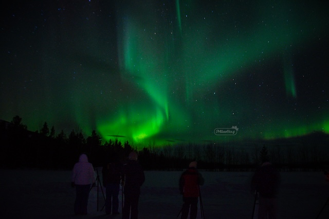 Yukon Aurora Tour Miss604 Bollwitt Photo