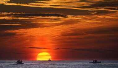 Teen swims four hours to save family lost at sea off Australia - CTV News