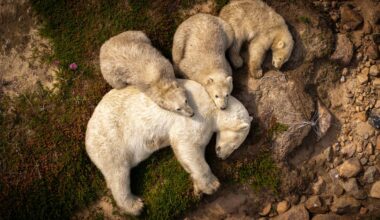 Public to choose favourite nature image from ‘truly exceptional’ list