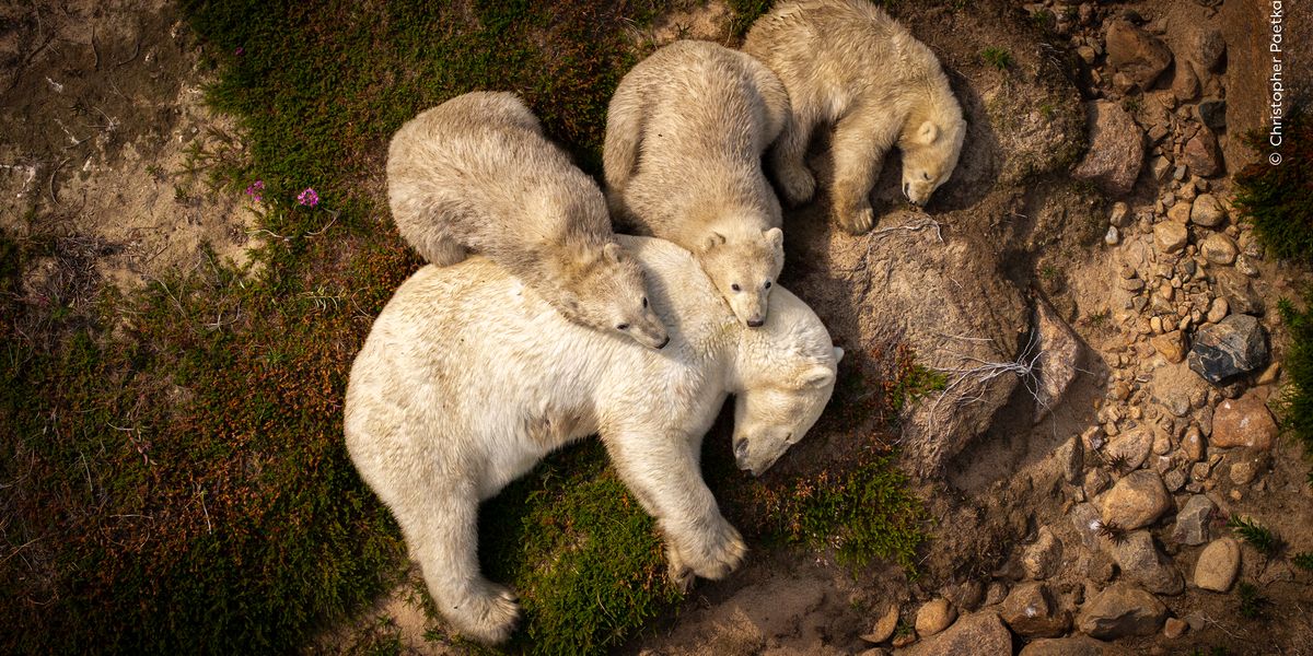 Public to choose favourite nature image from ‘truly exceptional’ list