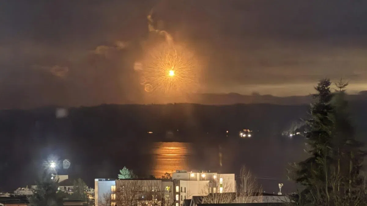 Large search launched after person goes missing aboard Nanaimo-bound ferry | NanaimoNewsNOW