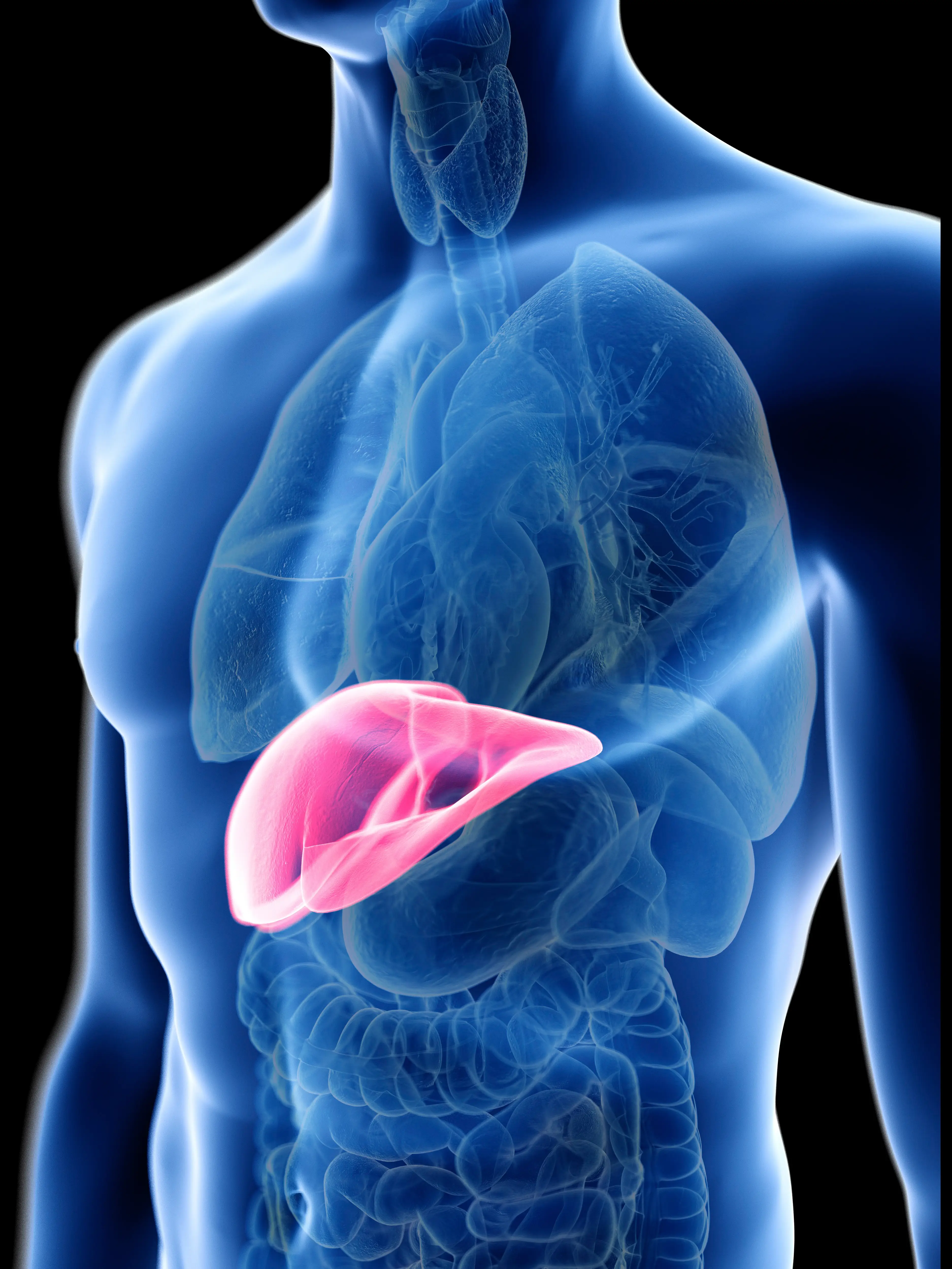 Overconsumption of either, or taking both together regularly, could cause liver problems (Getty Stock Images)