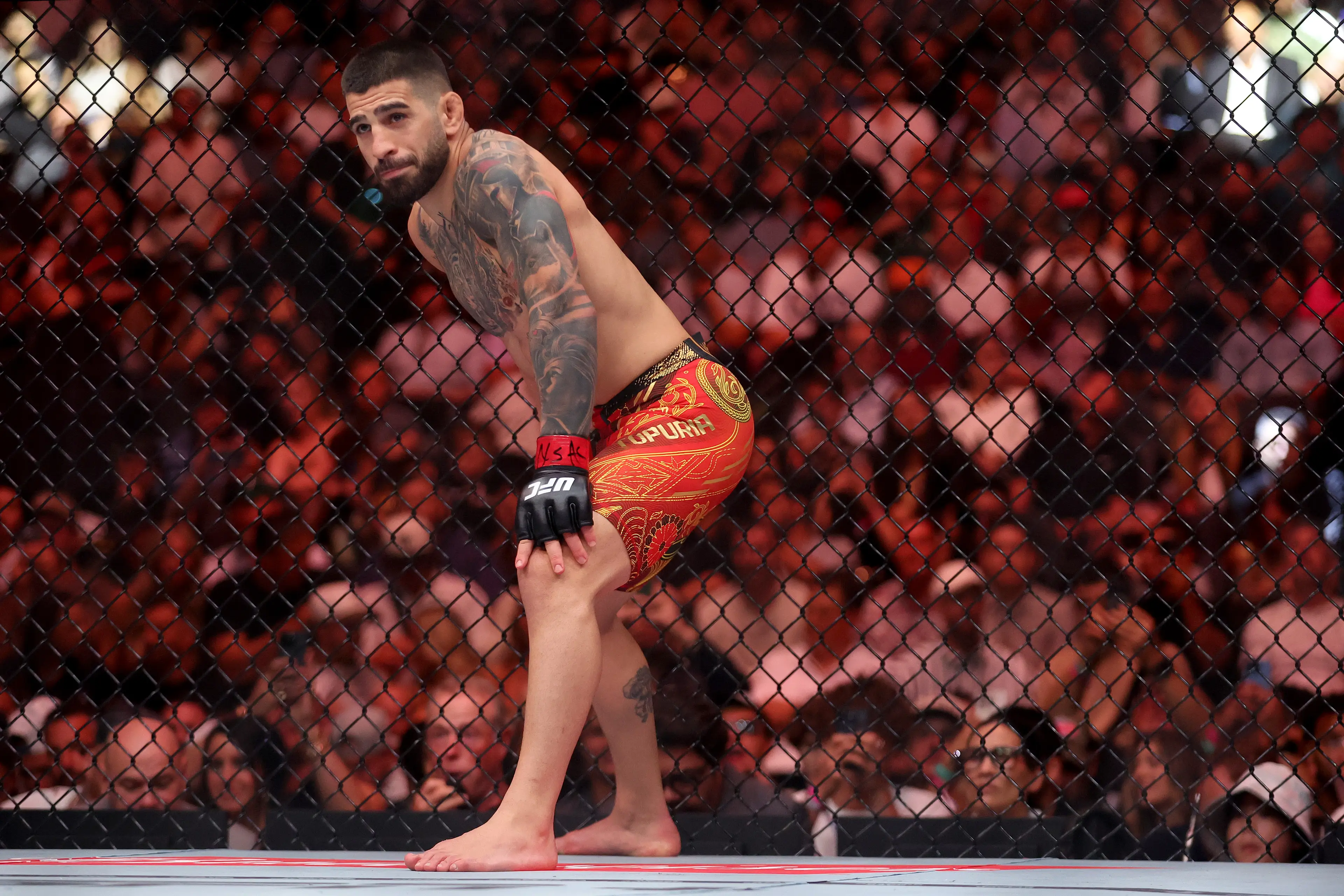 Ilia Topuria is set to return to the UFC at the White House card. Image: Getty 