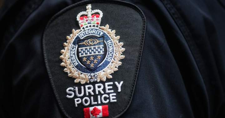 Surrey police budget slashed by $47M with union sounding the alarm - BC