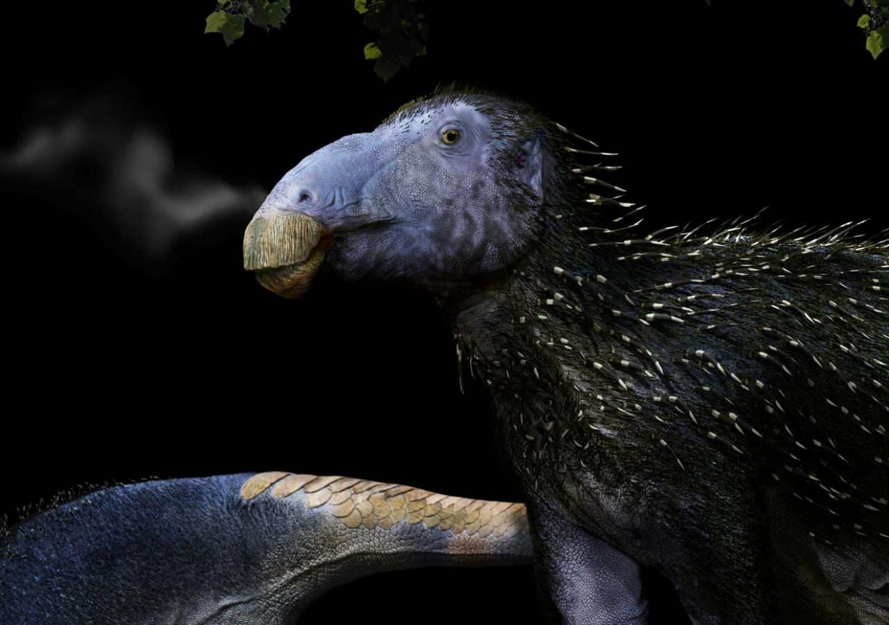 Artist's reconstruction of the spiky Haolong dongi