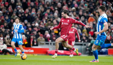 Download app from appStore