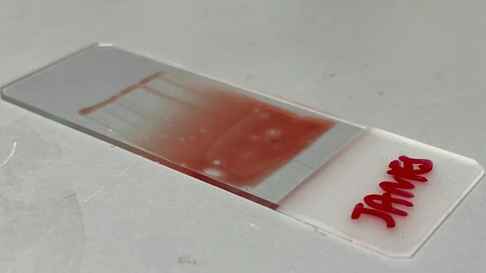 A clear sheet of glass with the name James written on it and a red smudge of blood is streaked across the glass.