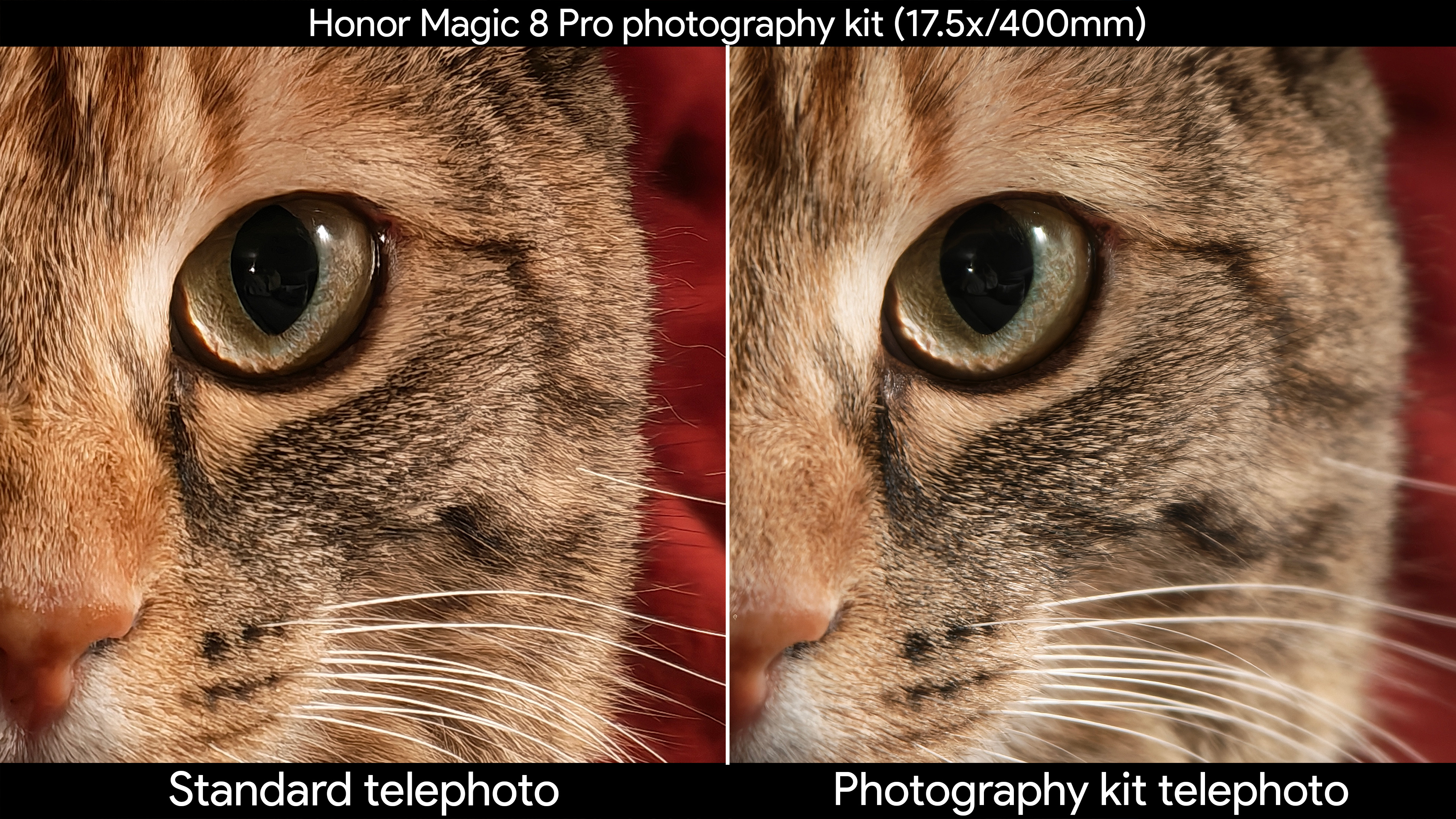 Comparing the Honor Magic 8 Pro's built-in telephoto lens with the official photography kit's telephoto extender in macro shots