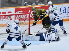 Junior hockey players on ice