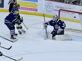 Junior hockey players on ice scoring goal