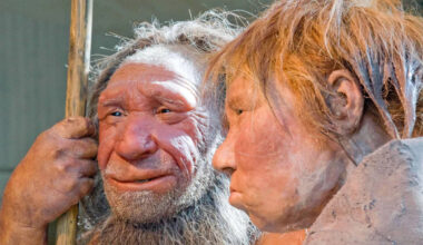 Ancient coupling may have happened more between human females and Neanderthal males
