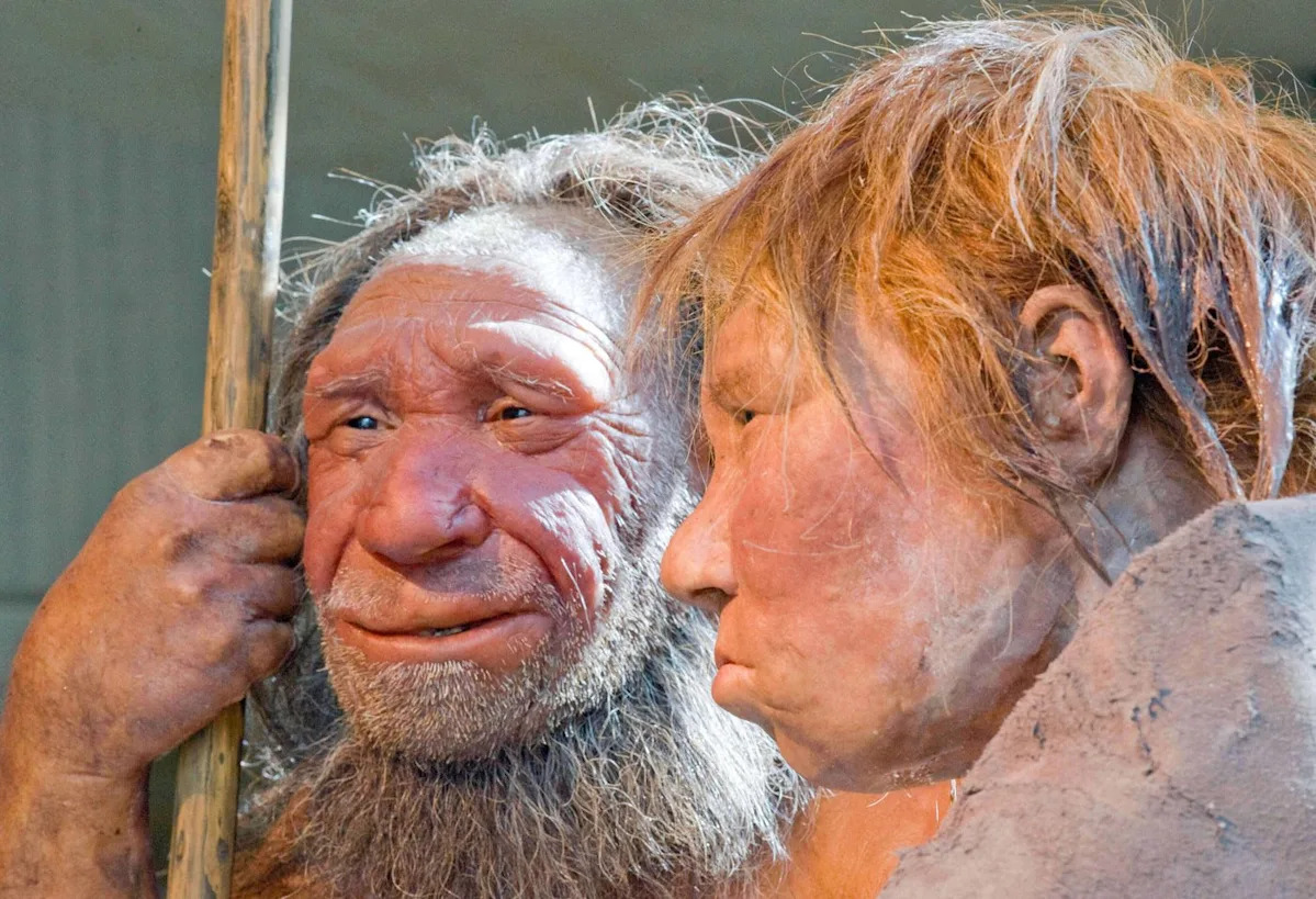 Ancient coupling may have happened more between human females and Neanderthal males