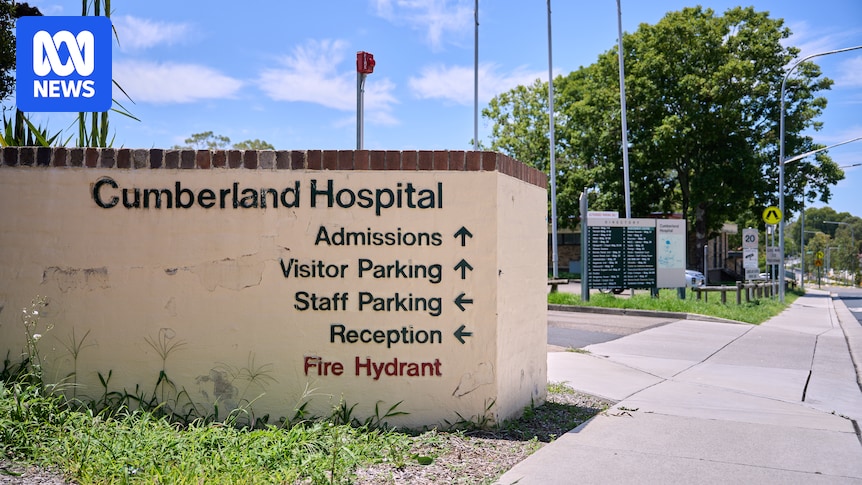 Driver charged over Camden fatal crash escaped Cumberland Hospital mental health care before incident