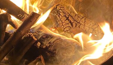 Could this charcoal-like stuff play a role in Algoma Steel's future?