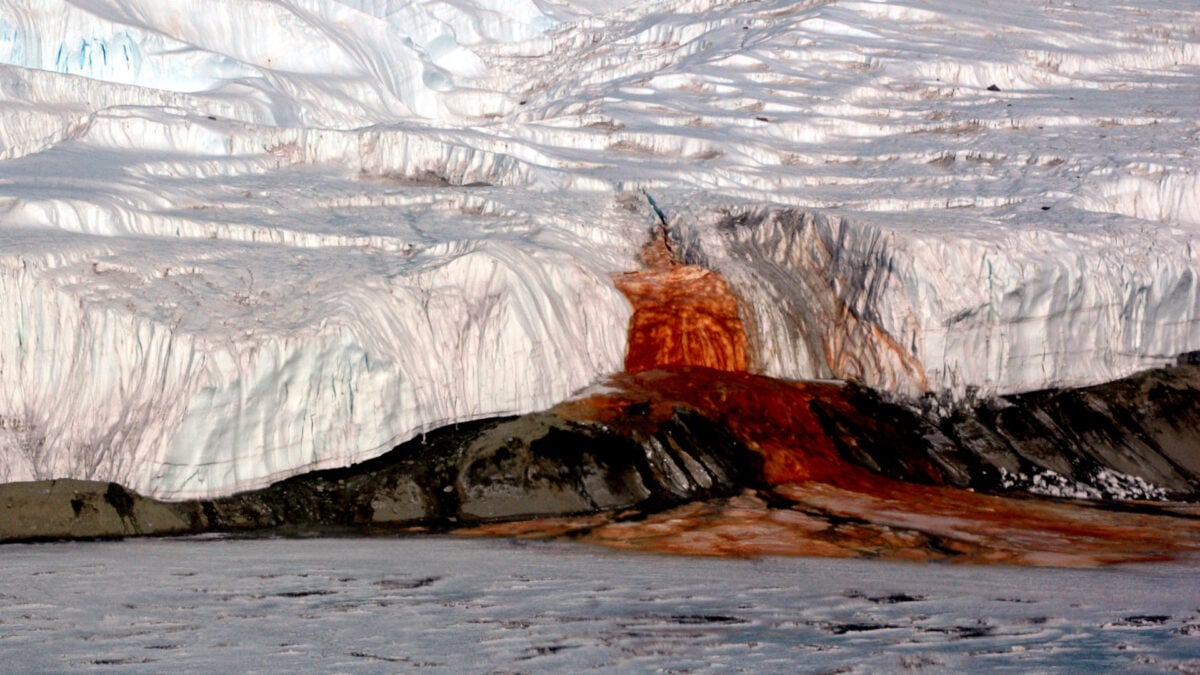 Why This Part of Antarctica Bleeds Blood Red