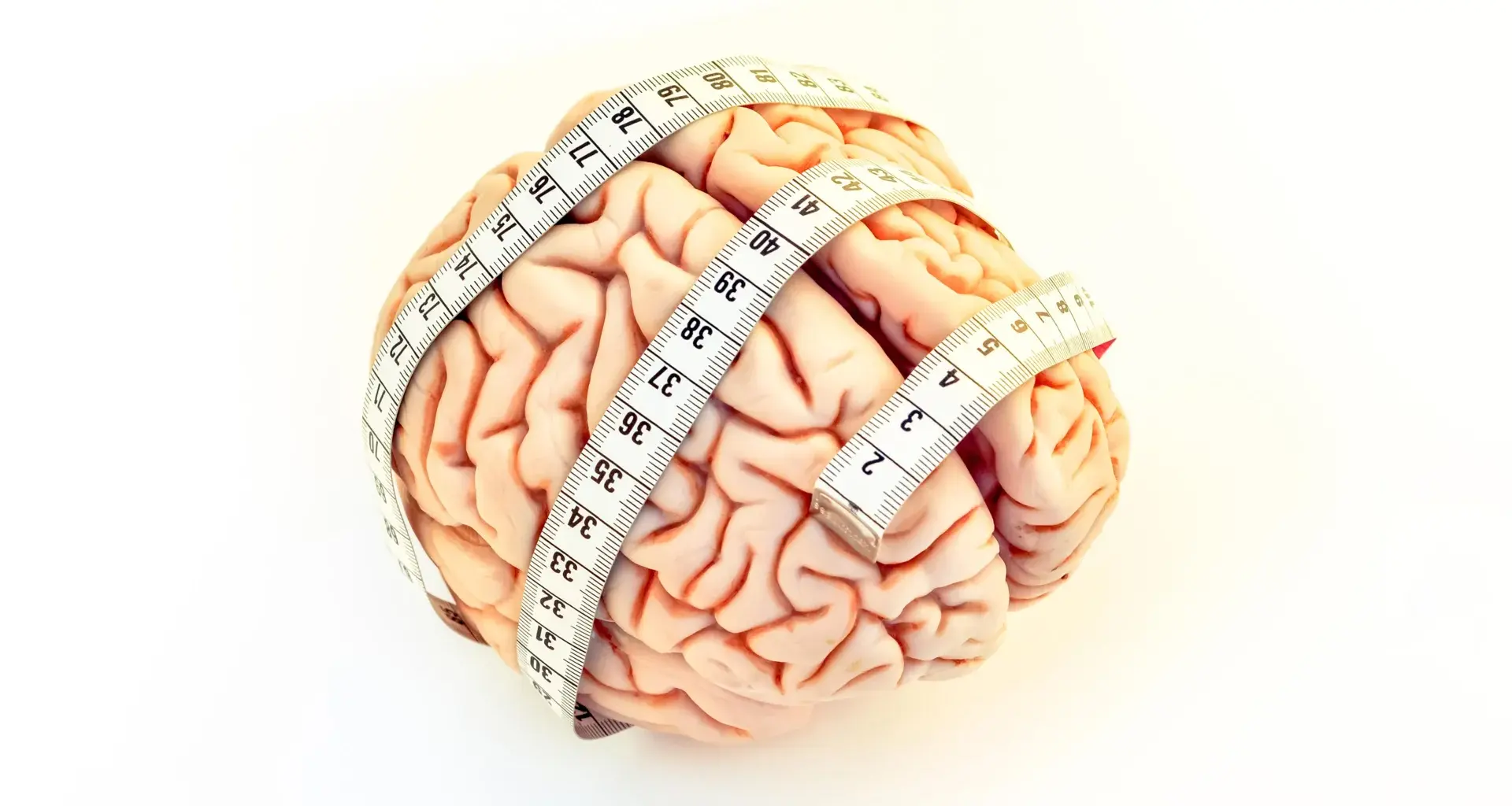 Scientists find a clue to human brain evolution in finger length