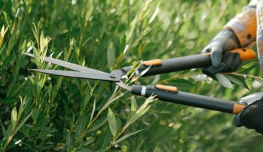 brampton summer jobs Get paid work with the city this summer in Brampton