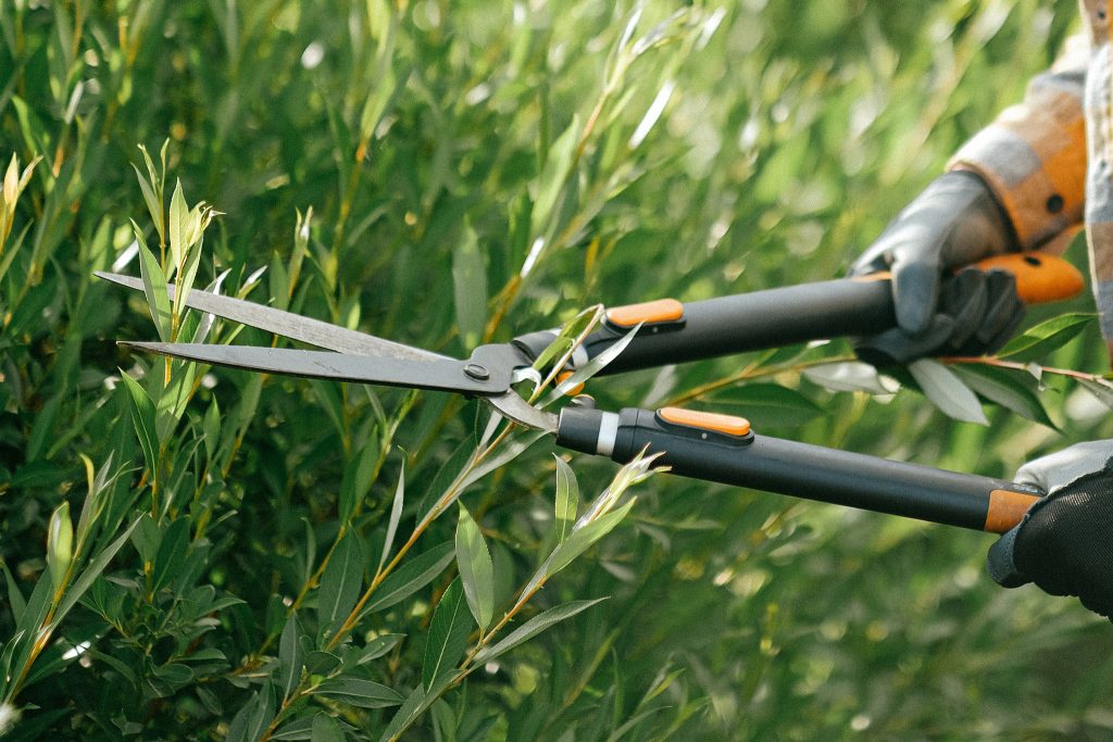 brampton summer jobs Get paid work with the city this summer in Brampton