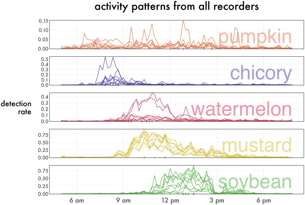 A bioacoustic chart with five stacked line graphs shows activity patterns for pumpkin, chicory, watermelon, mustard, and soybean from 3 am to 9 pm.