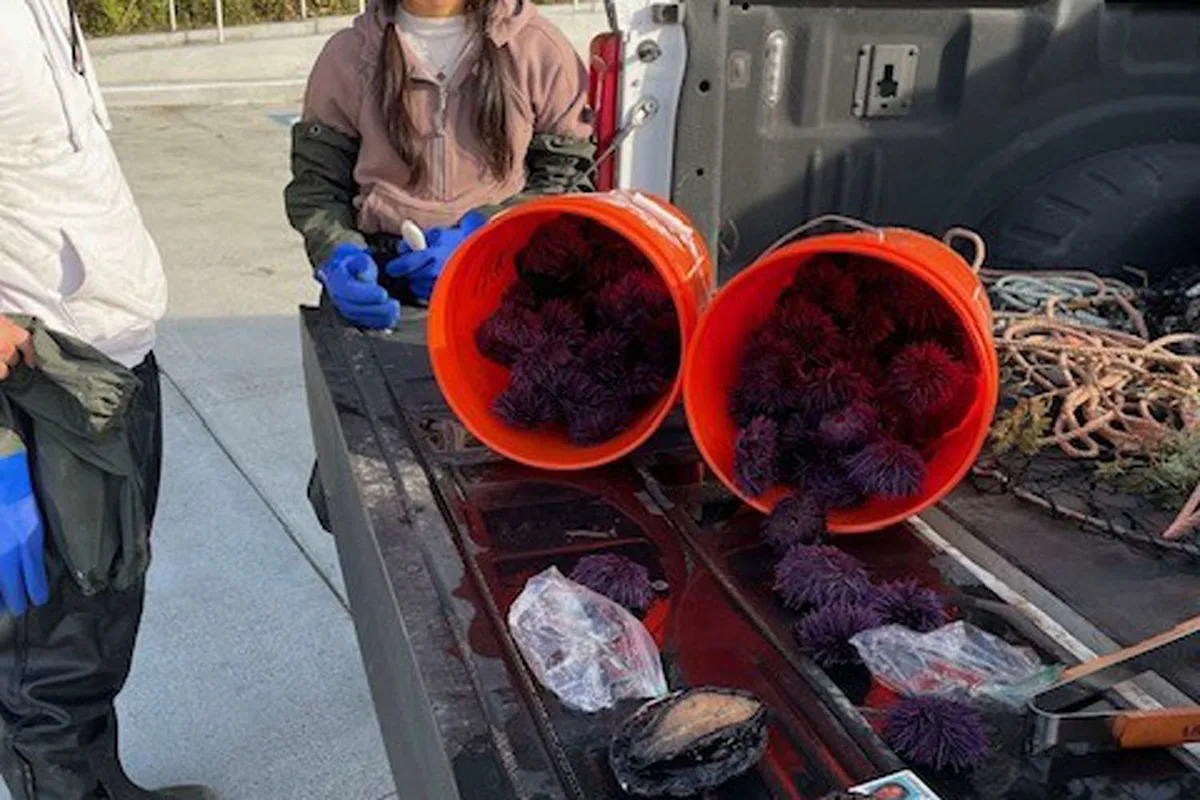California Wildlife Officers Catch Woman Hiding Rare Sea Creature in Her Pants