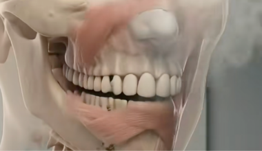 Chilling simulation shows exactly what happens to your body when you smoke weed every day