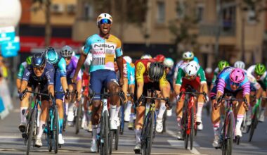 New signings are flourishing so far in 2026