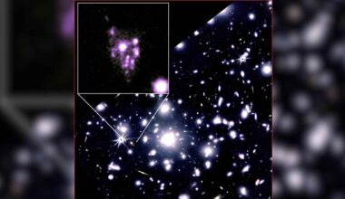 Inset highlights “Cosmic Grapes,” an early lensed galaxy whose light breaks into many compact, star-forming clumps.