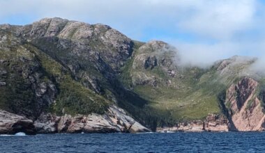 'Relief All Around' to Termination of Marine Conservation MOU says FFAW