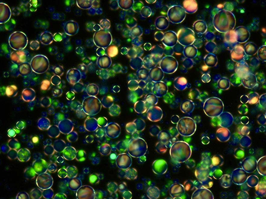 This New Optical Crystal Could Power Next-Generation Quantum and Semiconductor Tools