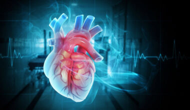 Lab-grown, “living” heart tissues: a major breakthrough