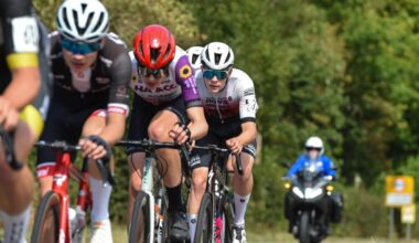 Download app from the App Store