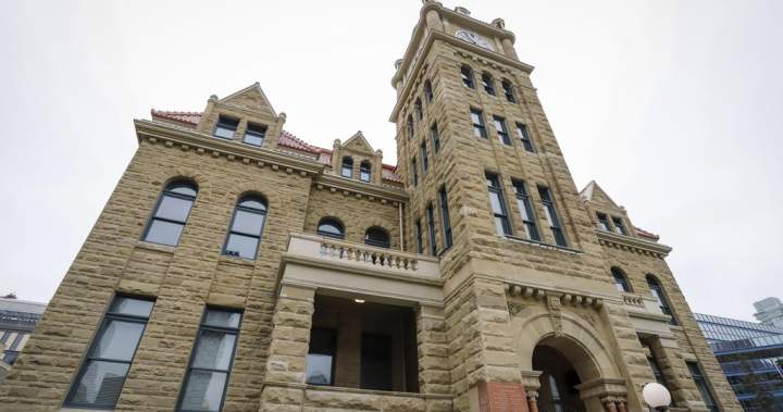 Calgary city councillors seek ways to crack down on shoplifting under $100 - Calgary