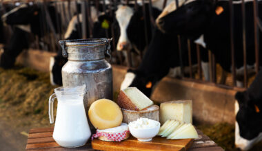 Dairy products are both good and bad for your human health