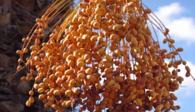 A Mysterious Bat Virus in Bangladesh Is Deadlier Than We Thought, and Now Infecting Humans