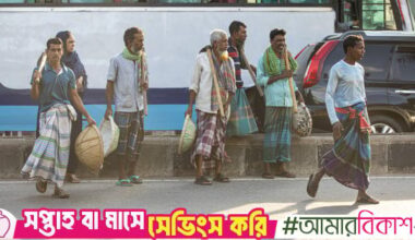 What are the warning signs of a labour market slowdown?