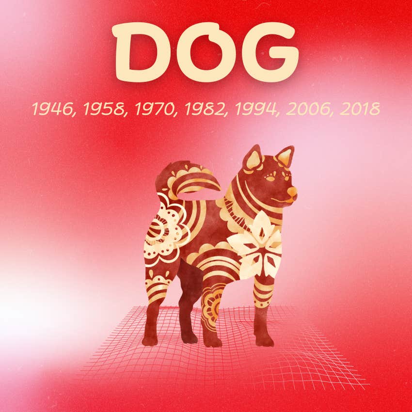 dog chinese zodiac signs luck success February 22 2026