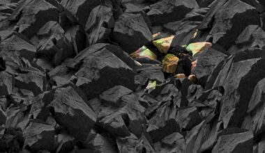 Global trade tensions raise strategic value of African minerals, report says