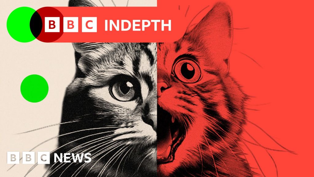 AI 'slop' is transforming social media