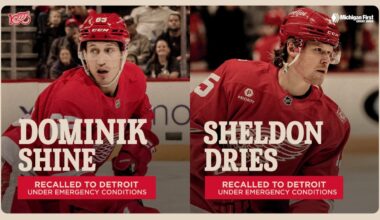 Red Wings recall Dominik Shine and Sheldon Dries from Grand Rapids under emergency conditions