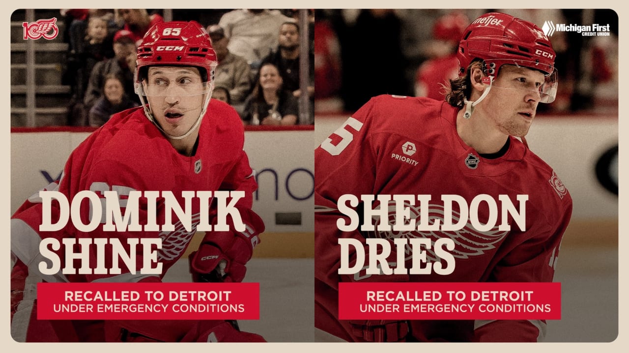 Red Wings recall Dominik Shine and Sheldon Dries from Grand Rapids under emergency conditions