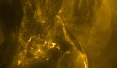solar eruption September 2024