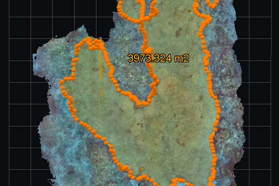 a computer-generated image of coral.