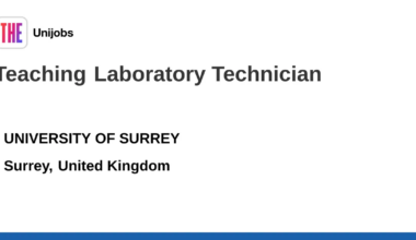 Teaching Laboratory Technician job with UNIVERSITY OF SURREY