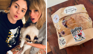 "Totally Delusional": Taylor Swift's Gift To Selena Gomez Sparks Backlash