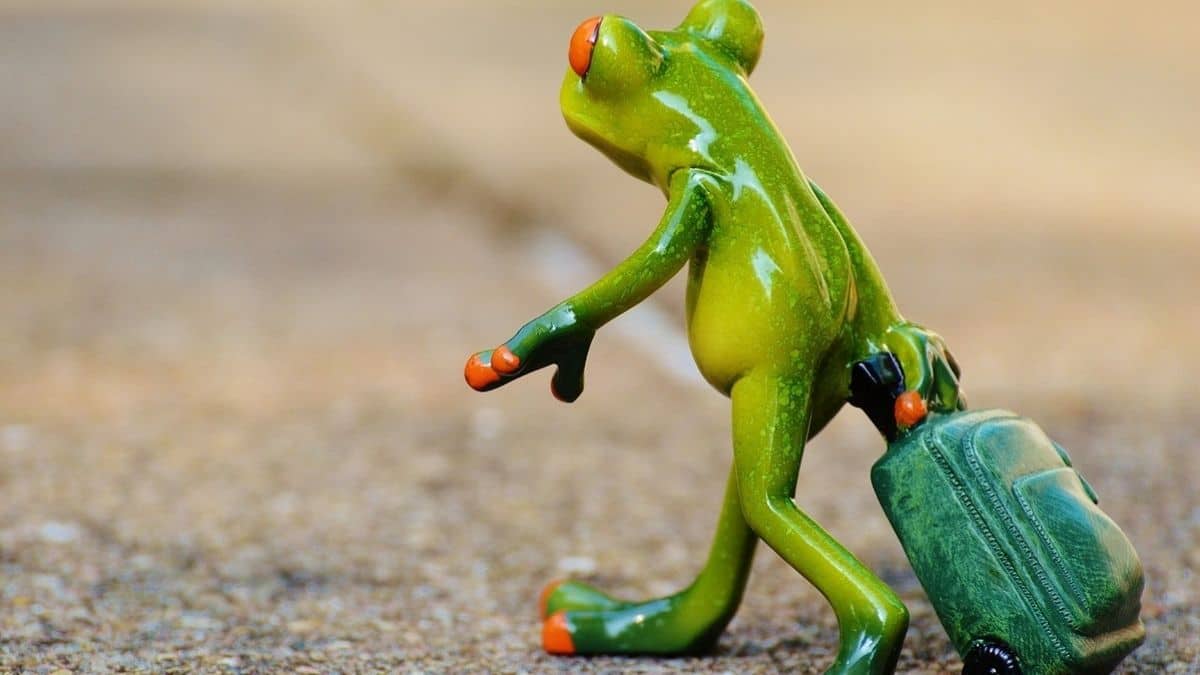 Why travelling at least once a year is good for mental health. Here’s what experts say – Firstpost