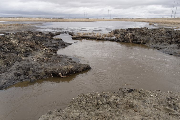 A muddy pool of water in a brown field