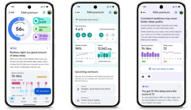 Fitbit personal health coach